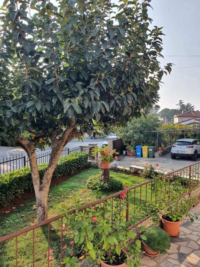Apartman Bruna 1 Poreč Exteriér fotografie